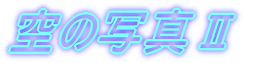 ̎ʐ^U