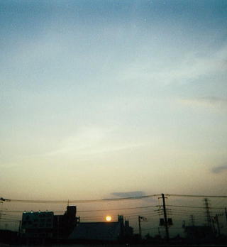 夕日です。