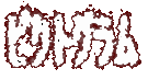 sNgO 