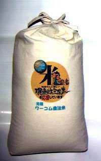 ܰ�є_�@�Ă�may bag