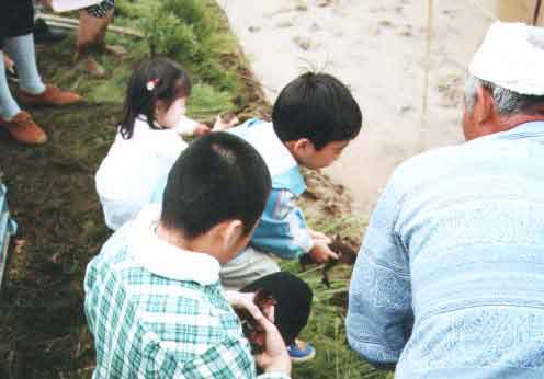 �q�������͂Ȃ�