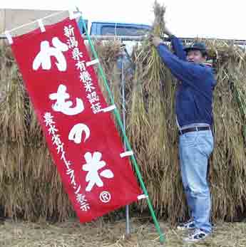 かもの米のはざ掛け