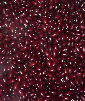 ��򒬂̖��_�������