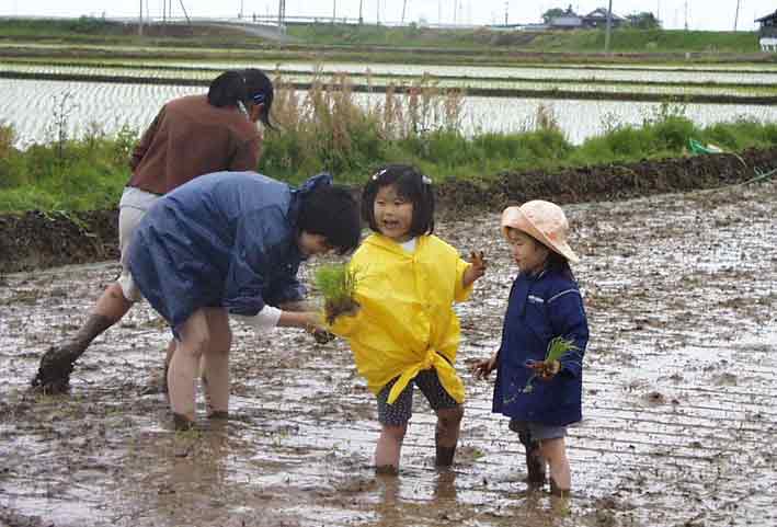 �����K���o�b�^