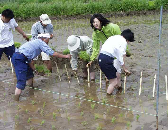 ���D��t����