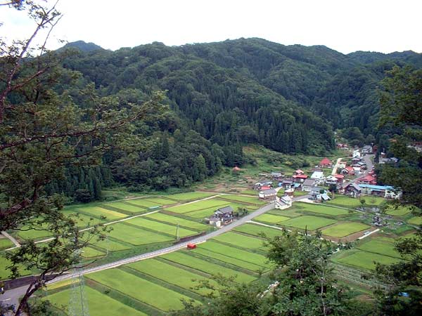 �ォ�猩���c���