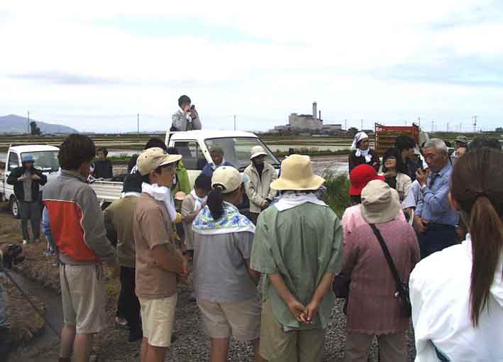 �c�A���̐���