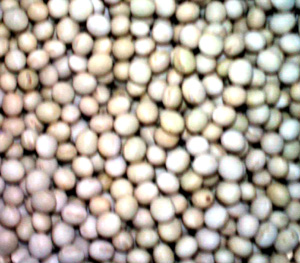 ��򒬂̔��ڑ哤