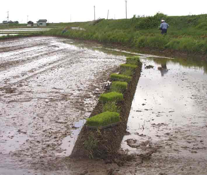 �c�A���O�̓c���