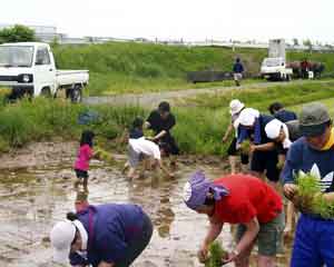 �c�A���ł�