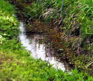 ���_��ƕ��ʍ͔|�̈Ⴂ