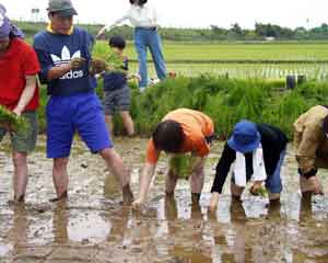 �݂�ȂŐA���Ă܂�