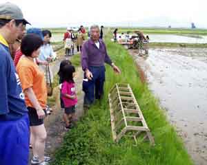 �c�A���̐���