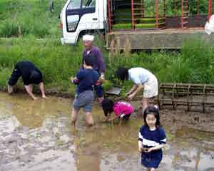 �{�N�������撣���Ă��܂�