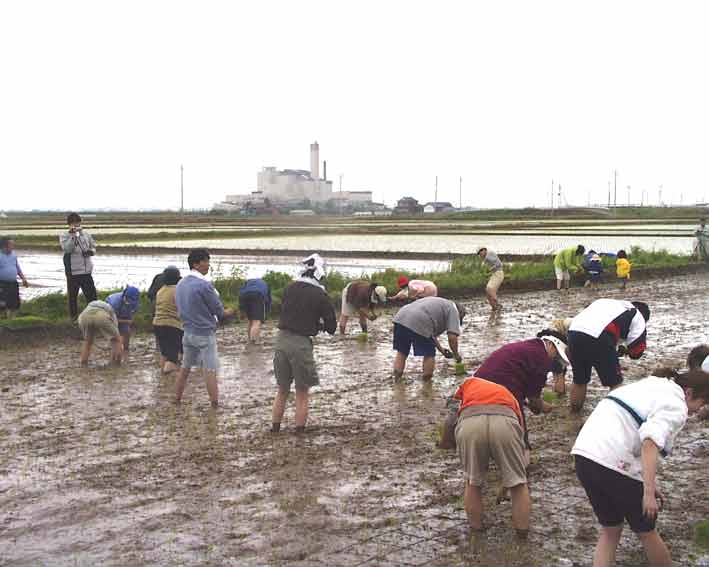 ����Ȃɖ����ɁE�E�E