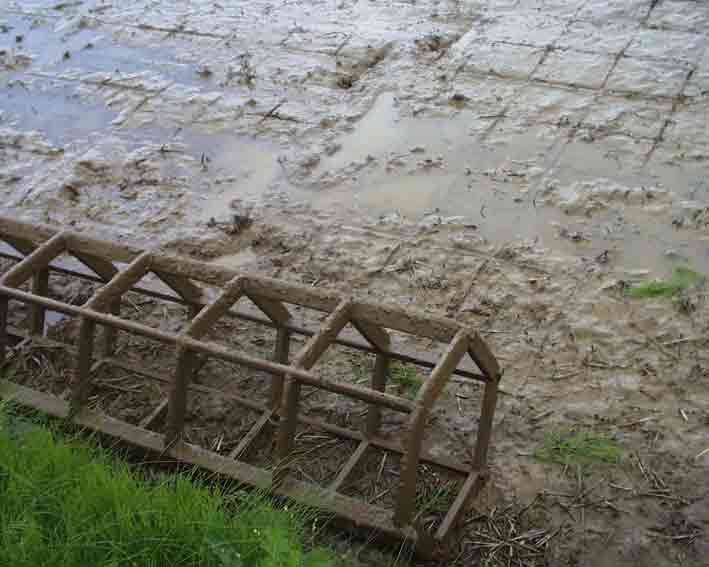 �g�]����