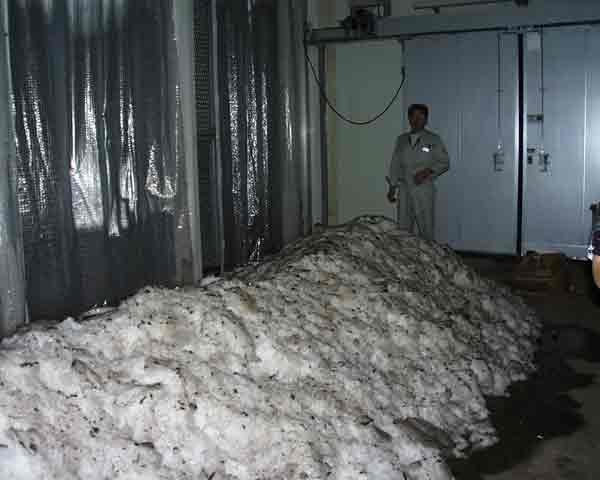 冷蔵貯蔵施設の雪