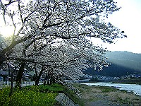 �쉈���̍��i�F
