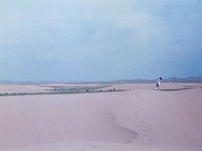 モルツォック砂丘