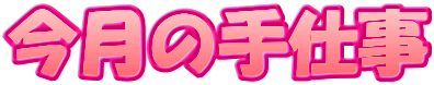 ̎d
