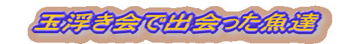 @ʕŏoB@