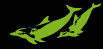 Green Dolphin