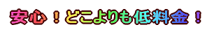 ���S�I�ǂ������ᗿ���I