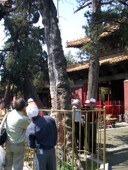 kyokufu27.jpg