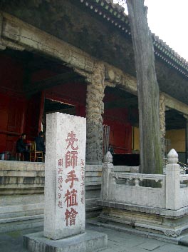 kyokufu31.jpg