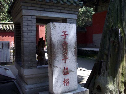 kyokufu5.jpg
