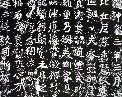 rakuyo22.jpg
