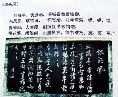 syokou19.jpg