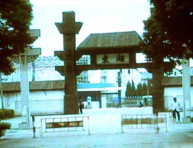 syokou25.jpg