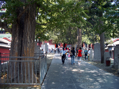 syorinji17.jpg
