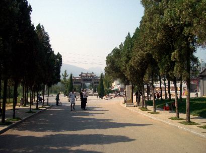 syorinji7.jpg