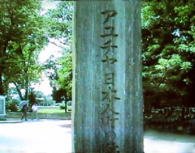 tai45摜