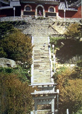 taian81.jpg