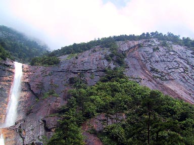 tonkei8画像