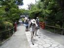 C:\Documents and Settings\PC User\My Documents\My Pictures\�摜 015.jpg