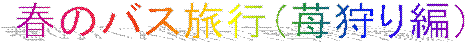 �t�̃o�X���s�i䕎��ҁj