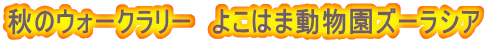 �H�̃E�H�[�N�����[�@�悱�͂ܓ������Y�[���V�A