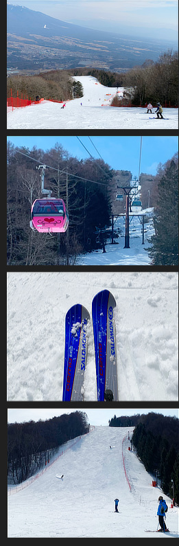 �S���h���ŃX�L�[