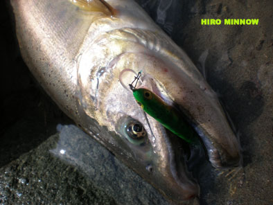 hiro102.jpg
