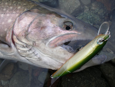 hirominnow59.jpg