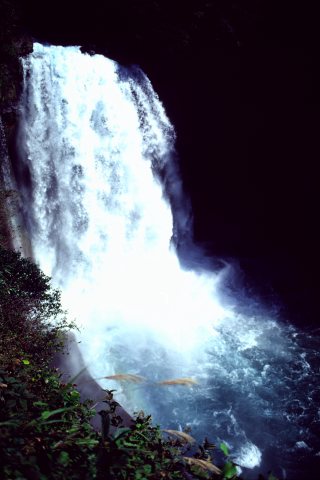 #8 ~̑ (29KB)