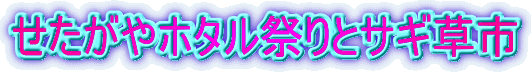 せたがやホタル祭りとサギ草市