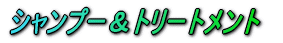 �V�����v�[���g���[�g�����g