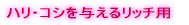 �n���E�R�V��^���郊�b�`�p