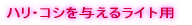 �n���E�R�V��^���郊�b�`�p